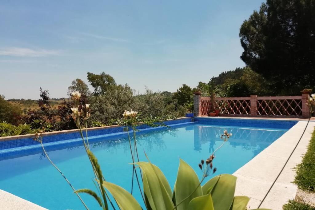 Casa Rural La Vega Cazalla de la Sierra Dış mekan fotoğraf