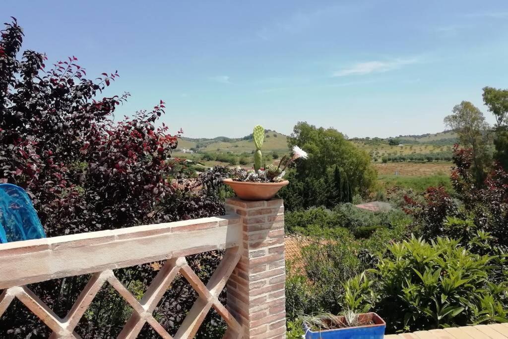 Casa Rural La Vega Cazalla de la Sierra Dış mekan fotoğraf